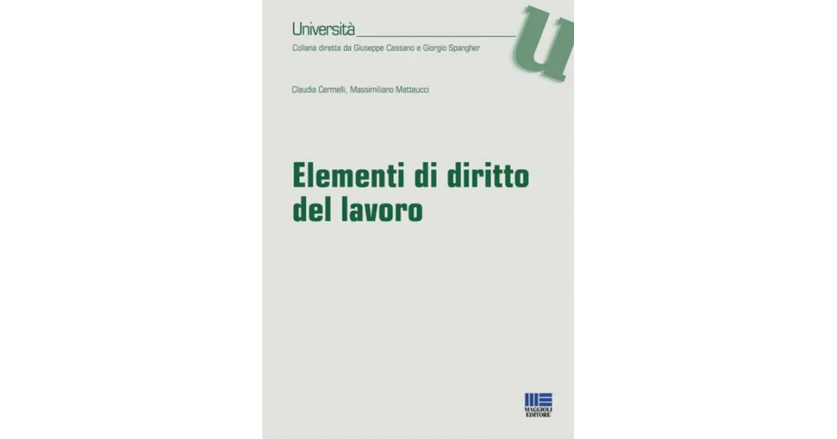 Elementi Di Diritto Del Lavoro Libro Di Carta FISCOeTASSE