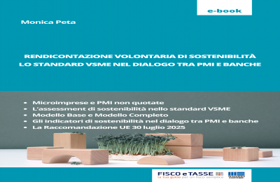 Rendicontazione volontaria di sostenibilità con lo standard VSME