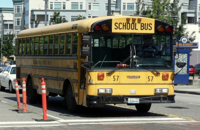 Per guidare lo scuolabus obbligatorio il certificato penale 