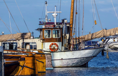 Contributi pesca e acquacoltura 2021: domande entro il 15 novembre