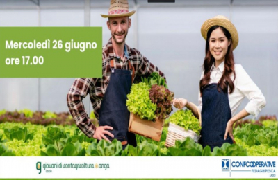 Agricoltura e imprenditorialità giovanile in Italia: declino e resilienza