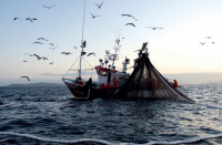 CCNL pesca marittima: firmato il rinnovo 2022