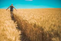 Retribuzioni medie lavoratori agricoli  2024