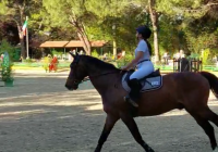 Sicurezza manifestazioni sport equestri: nuovo DPCM