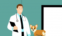 Spese veterinarie: sono detraibili nella dichiarazione dei redditi 2024?