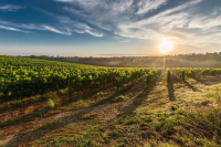 Prestazioni INAIL settore agricoltura rivalutazione 2025