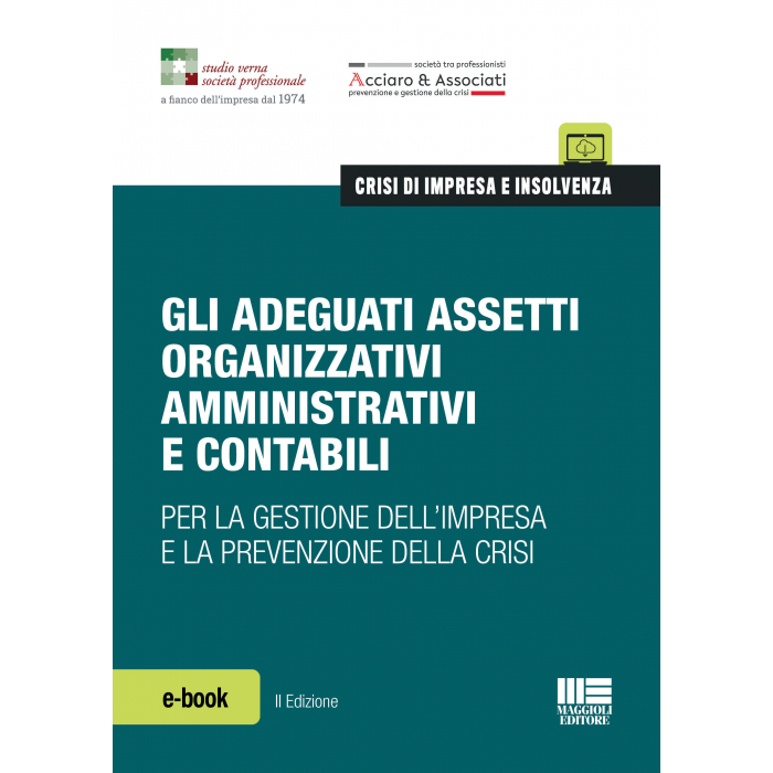 Gli adeguati assetti organizzativi (eBook 2025)