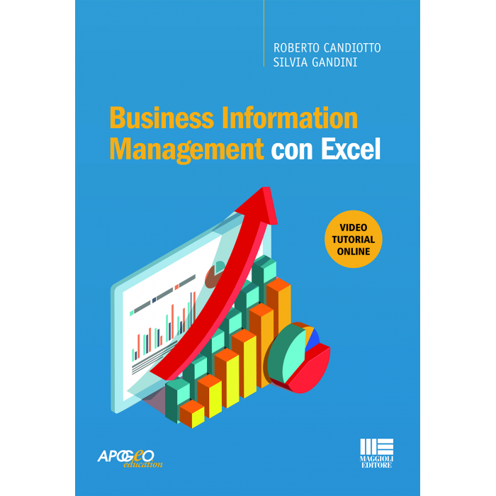Business Information Management con Excel