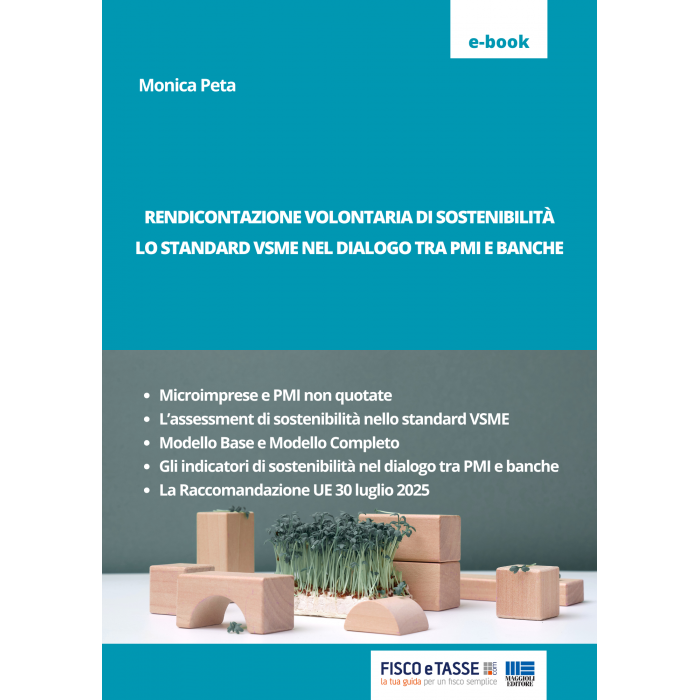Rendicontazione Volontaria di Sostenibilità | eBook