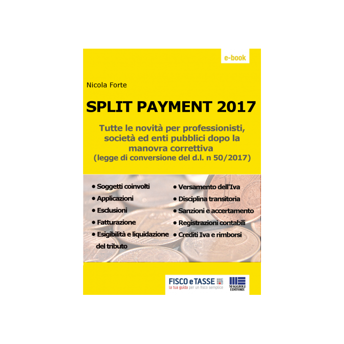 Split Payment 2017 - eBook