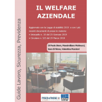 Il Welfare aziendale (eBook 2019) - OMAGGIO